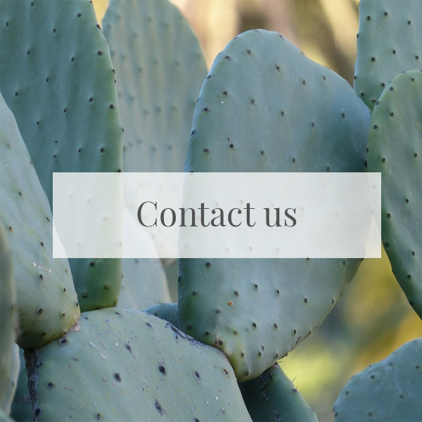 contact us